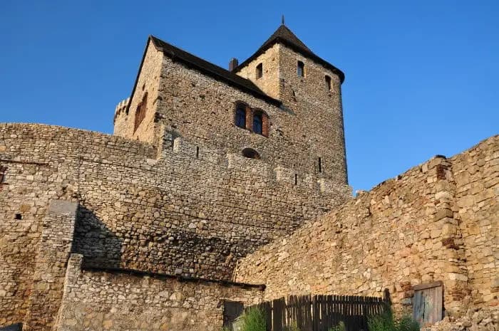 Letnia Akademia Karate wraca do Będzina. Są grupy dla dzieci, młodzieży i dorosłych