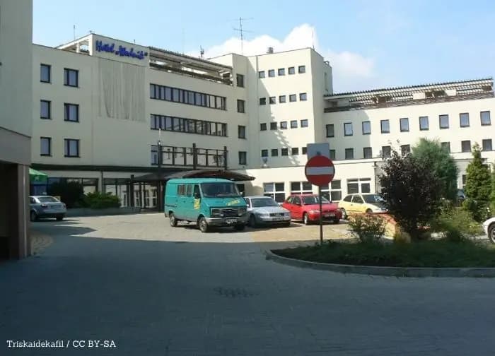 Upał daje się we znaki. Weterynarz z Bełchatowa przypomina o zwierzętach
