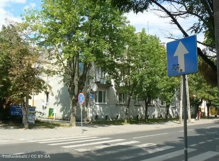 Uliczne kosze pękają w szwach. W Bełchatowie przypomniano, gdzie trafiają domowe śmieci