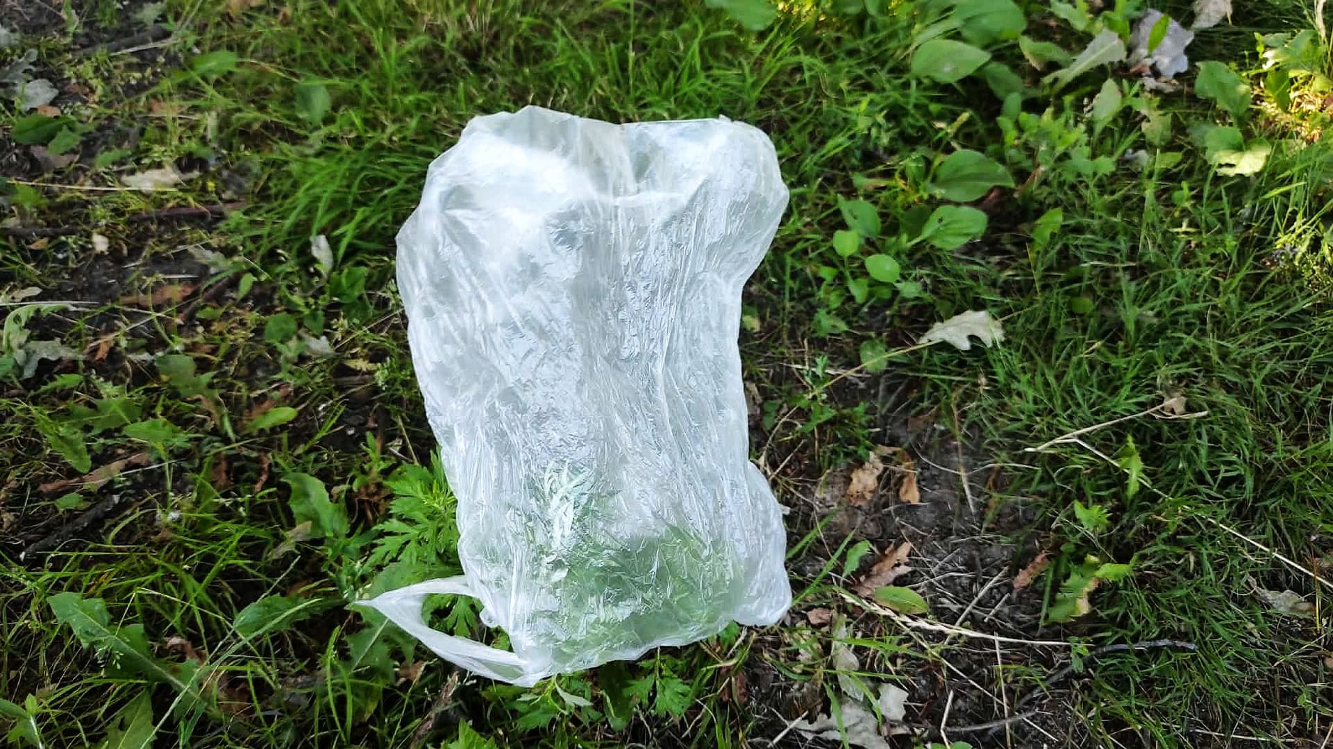 Oszczędzaj pieniądze i chroń przyrodę. Zrezygnuj z foliówki!