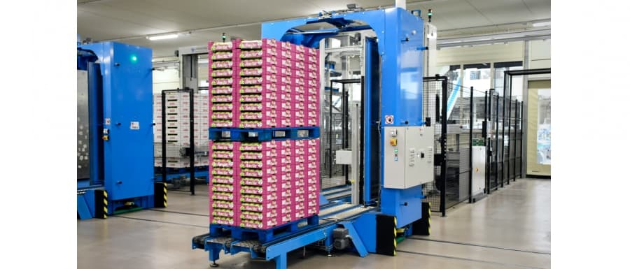 Kartoniarka pozioma vs. pionowa – jak dobrać system pakowania do Twojego produktu?