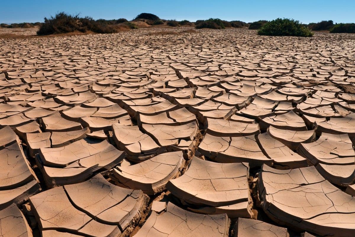 Nadchodzi El Niño. Co to dla nas oznacza?