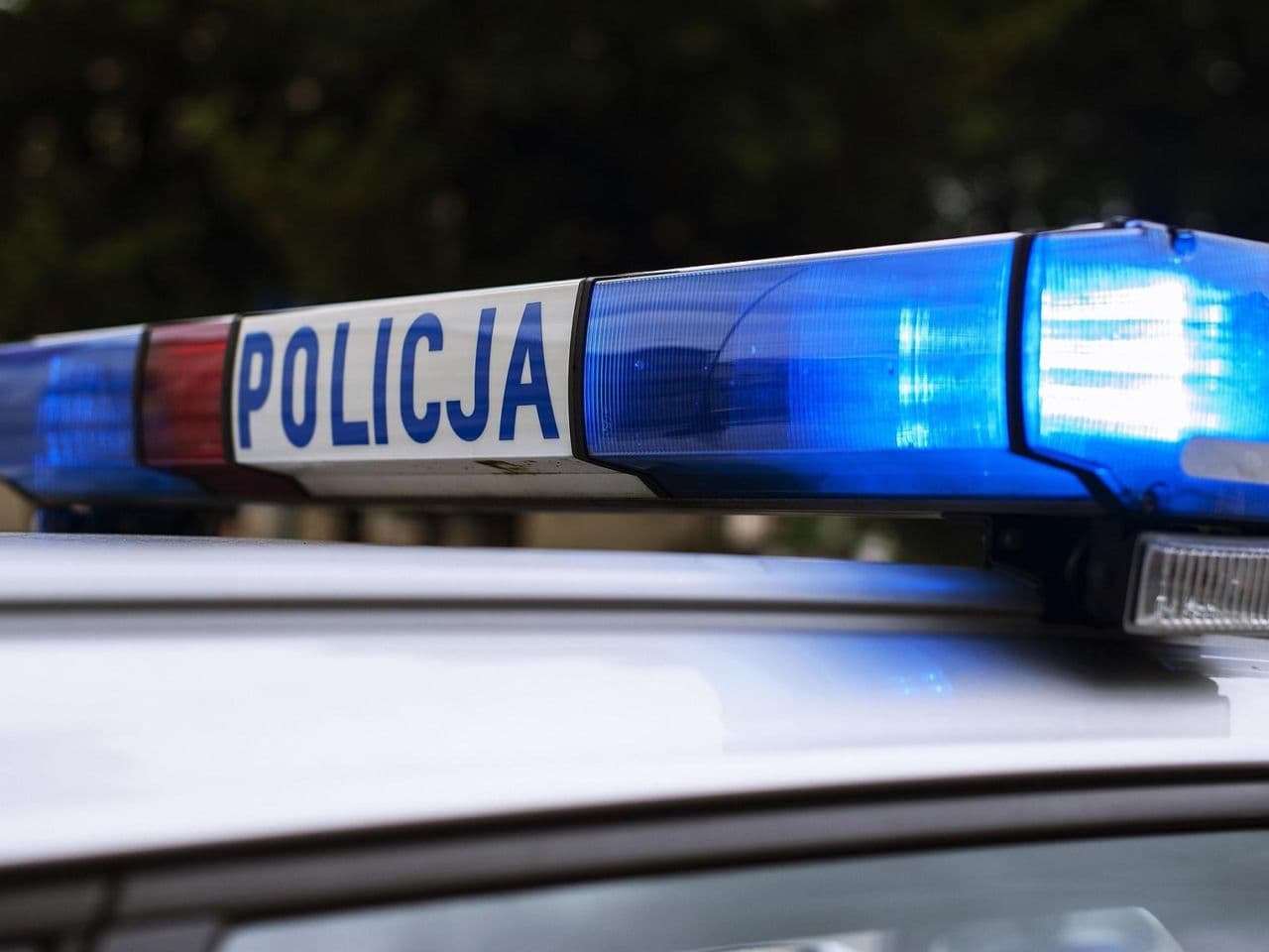Ktoś zniszczył grób ukraińskiego pisarza. Policja szuka sprawcy