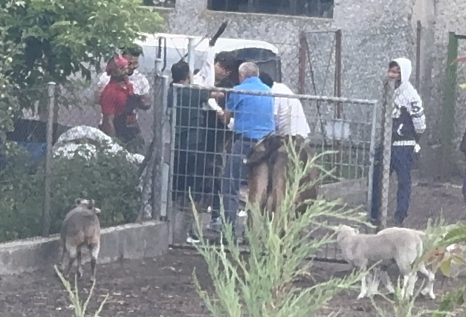Prokuratura bada sprawę szczątków zwierząt zakopanych na posesji w Piotrkowie. „To my od lat jesteśmy nękani”