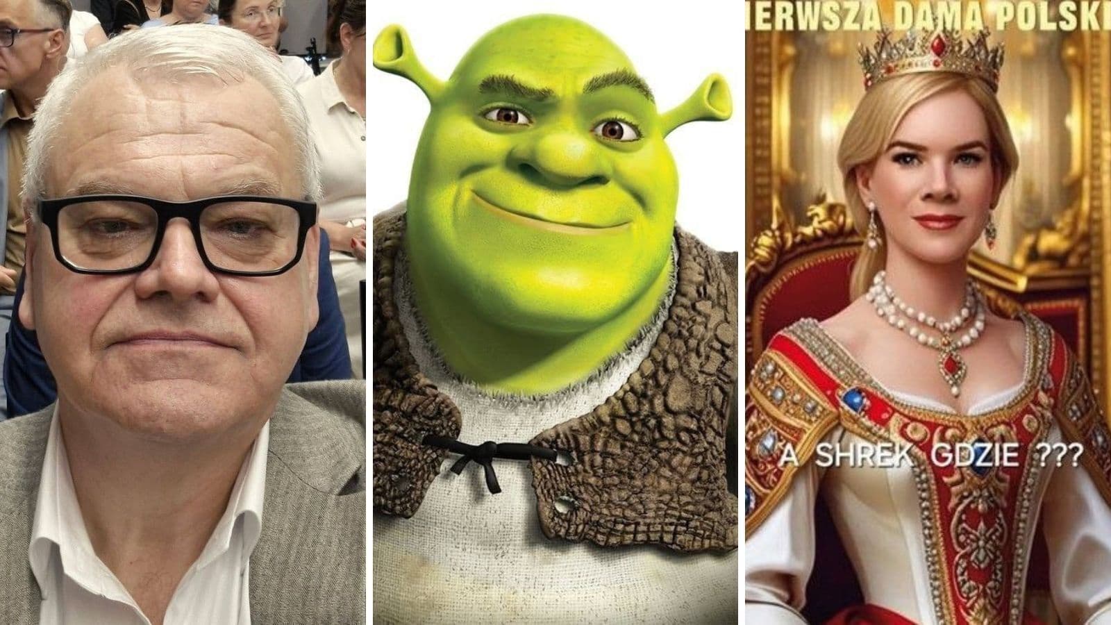 Radny z zarzutami za wpis o prezydencie. „Shrek jest postacią pozytywną”