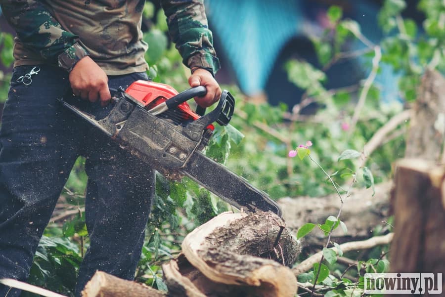 Trzy piły spalinowe skradzione podczas prac po wichurze. MOSiR apeluje o pomoc