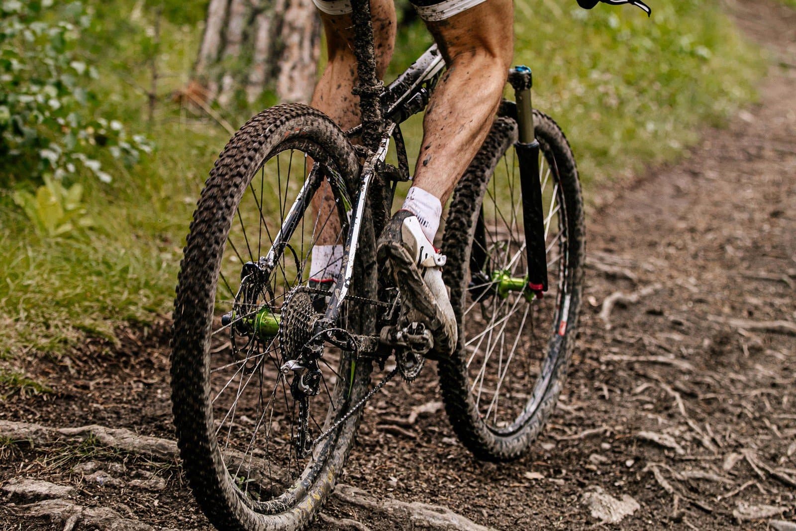 Trasy rowerowe na weekend w okolicy Tczewa