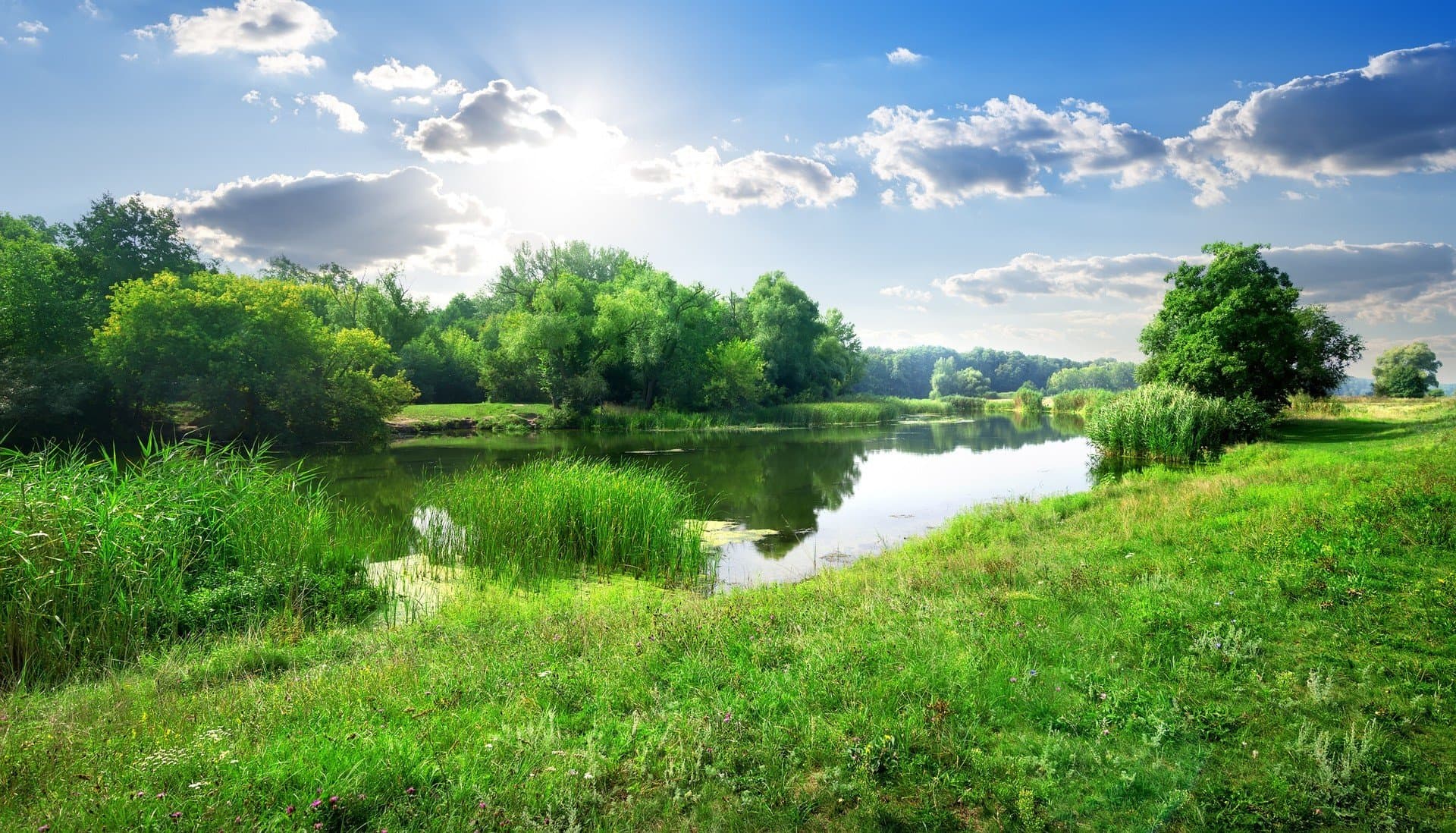 NOWEOtwarte kąpieliska w Kostrzynie nad Odrą