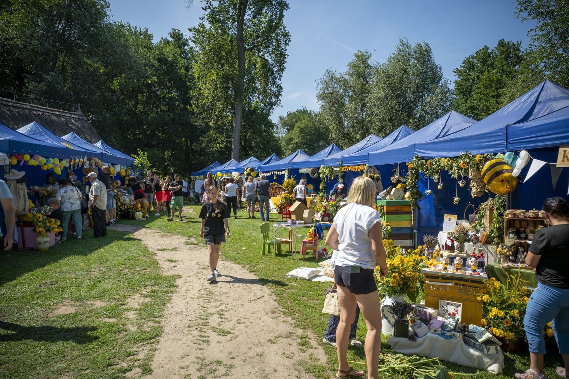 Najlepsze pszczele stoiska podbiją kaliskie Zawodzie