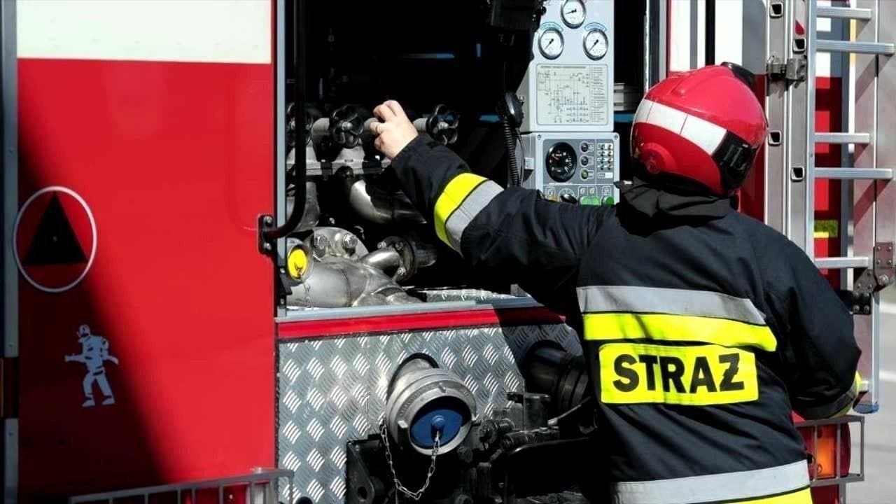 Pożar na ulicy Bogusława X w Kołobrzegu. Płonęła altanka ogrodowa