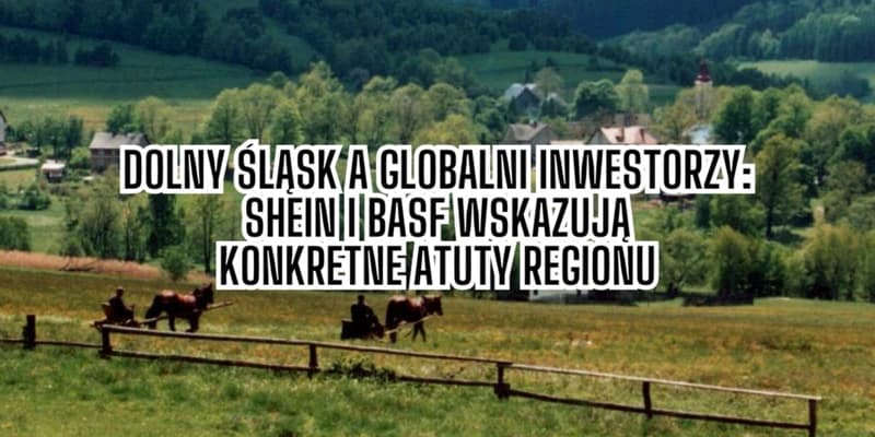 Dolny Śląsk na radarze globalnych inwestorów. SHEIN i BASF wskazują na konkretne atuty regionu