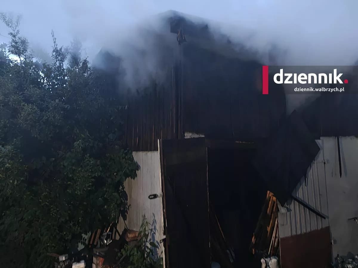 Nocny pożar przy ul. Mieroszowskiej. Płonął budynek gospodarczy