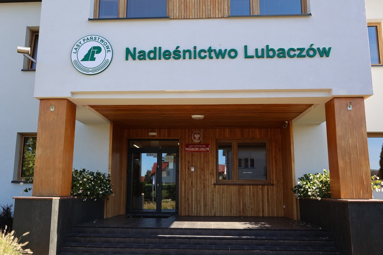 Przyszłość lokalnych lasów. Nadleśnictwo Lubaczów zaprasza na konsultacje społeczne