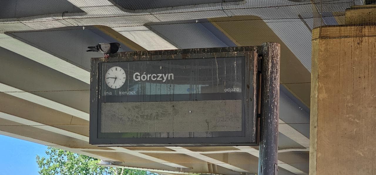 Tablica informacji pasażerskiej w odchodach gołębi. "Wygląd jest fatalny"
