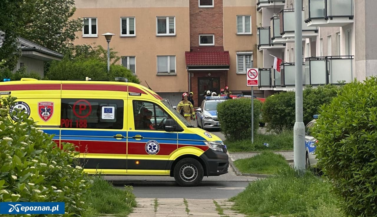Szokujące zabójstwo pod Poznaniem. Oskarżony przed sądem zmienił zdanie