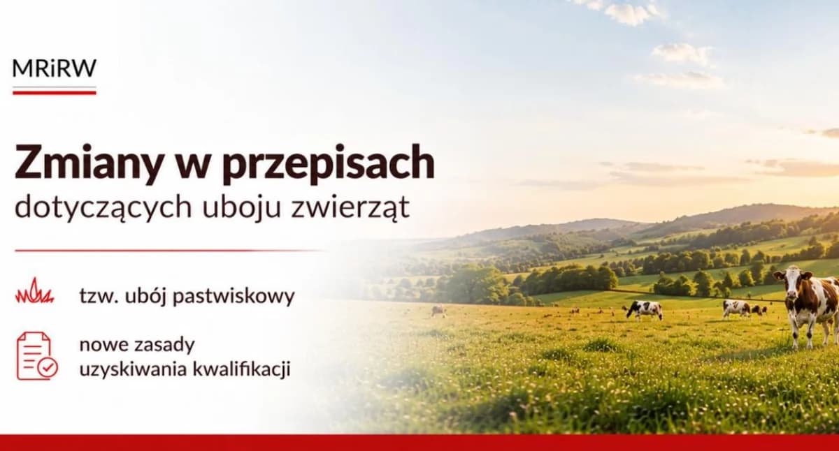 Będzie można prowadzić ubój pastwiskowy. Minister podpisał nowe przepisy