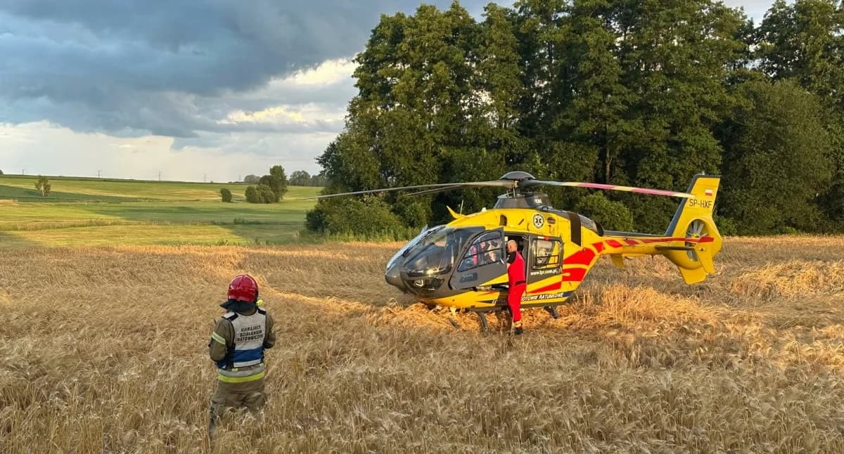 Samochód uderzył w drzewo. Kobieta i dwoje dzieci przewiezieni do szpitala [FOTO]