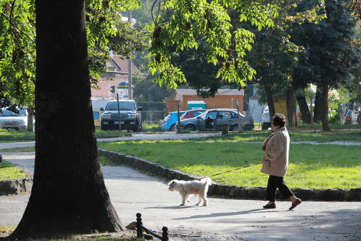 Odkryto, dlaczego z wiekiem przybywa tłuszczu na brzuchu