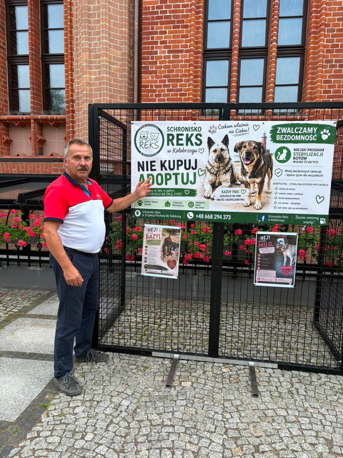 Plakaty ze schroniska zawisły w centrum Kołobrzegu