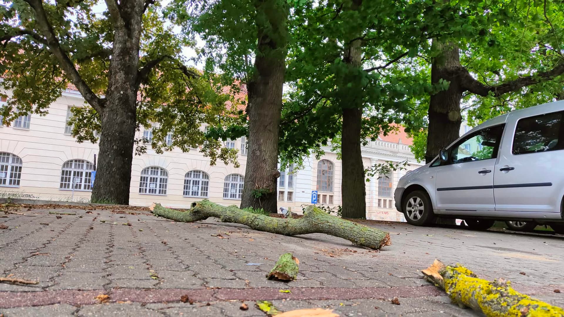 Uwaga na silny wiatr. Jest ostrzeżenie