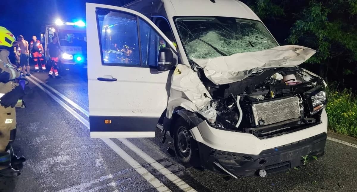 Łoś wbiegł pod dostawczaka na 16-tce. Niestety zwierzę nie przeżyło...