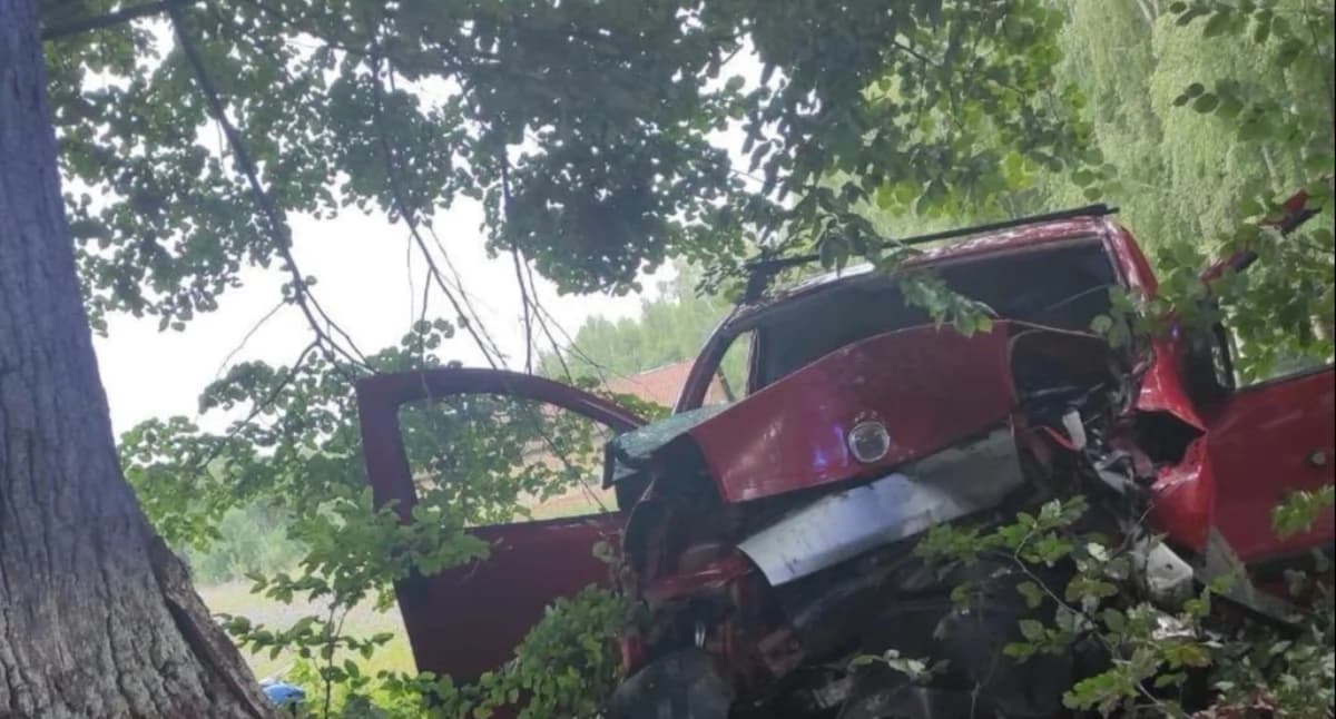 Bus uderzył w drzewo. Cztery młode osoby trafiły do szpitali