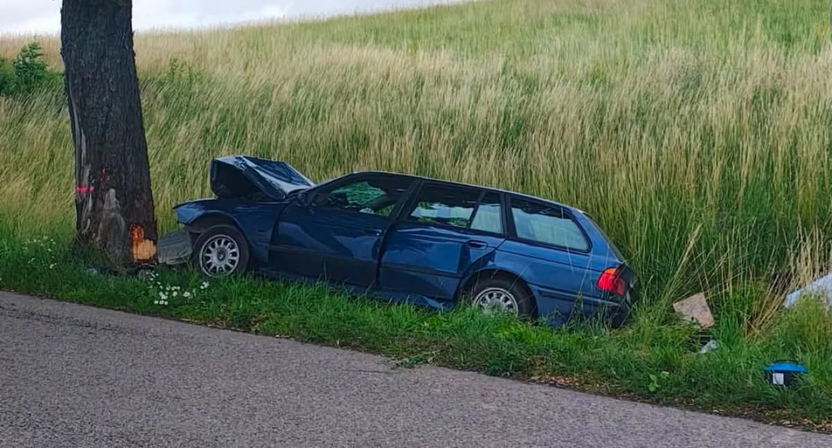 Samochód uderzył w drzewo, kierująca trafiła do szpitala