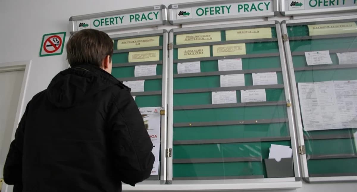 Sprawdź aktualne oferty pracy