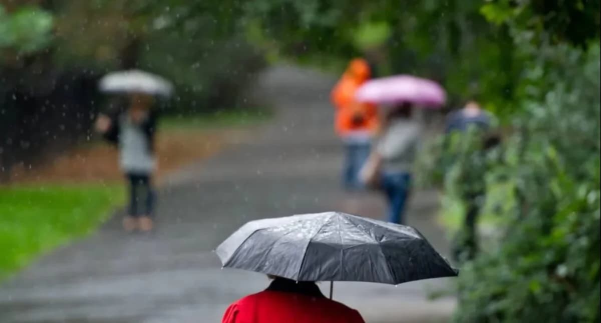 Najbliższe dni z deszczem, burzami i porywistym wiatrem. Temperatura spadnie