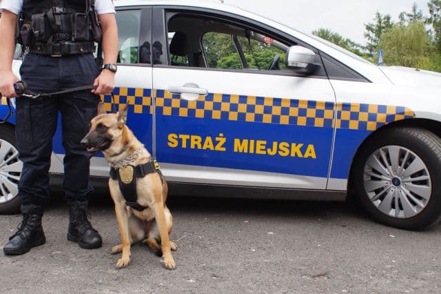 Wkrótce wyruszymy na wakacyjne wyjazdy. Pamiętajmy o zabezpieczeniu naszych mieszkań czy domów w monitoringi i systemy alarmowe…