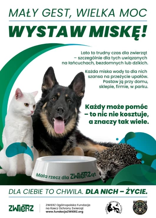 Mały gest ma wielką moc – wystaw miskę z wodą!