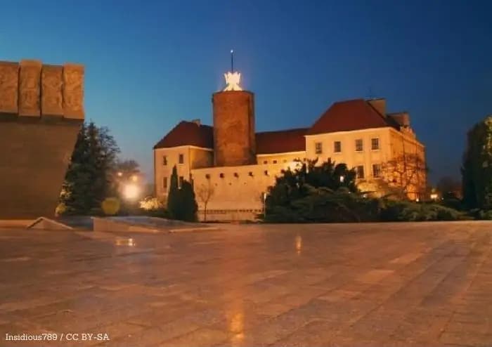 Dąb Folwarczny z Głogowa walczy o europejski tytuł. Głosowanie trwa