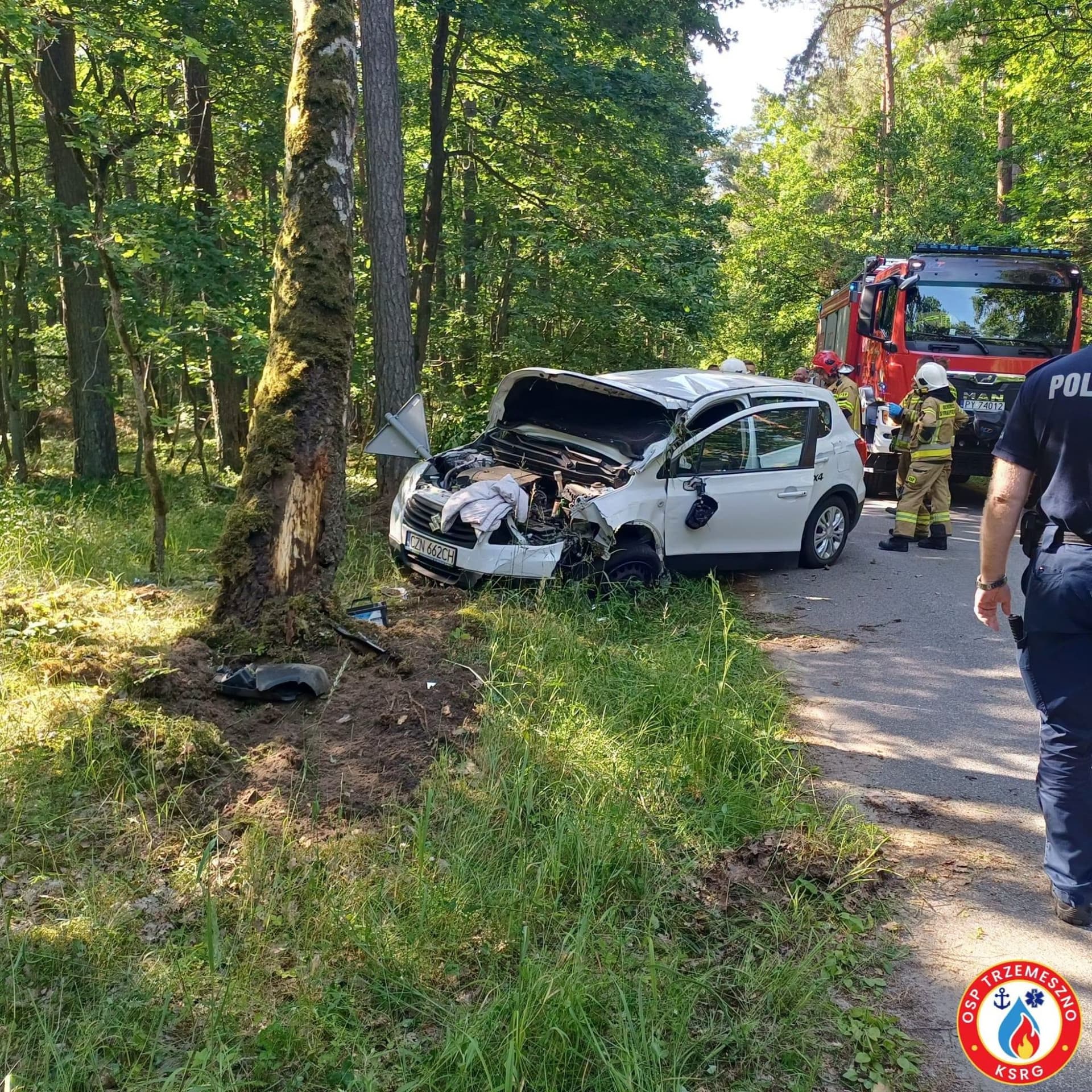 Samochód rozbił się o drzewo. Kierująca przewieziona do szpitala