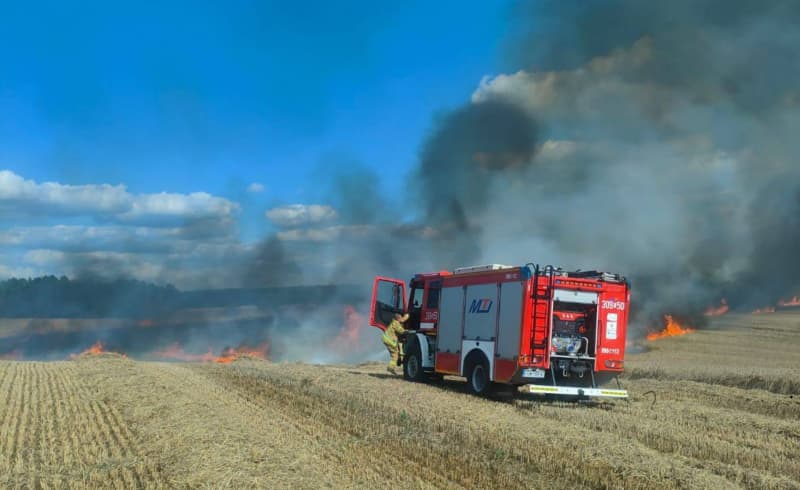 Dwa pożary w ciągu godziny. W Lubnie palił się las i zboże