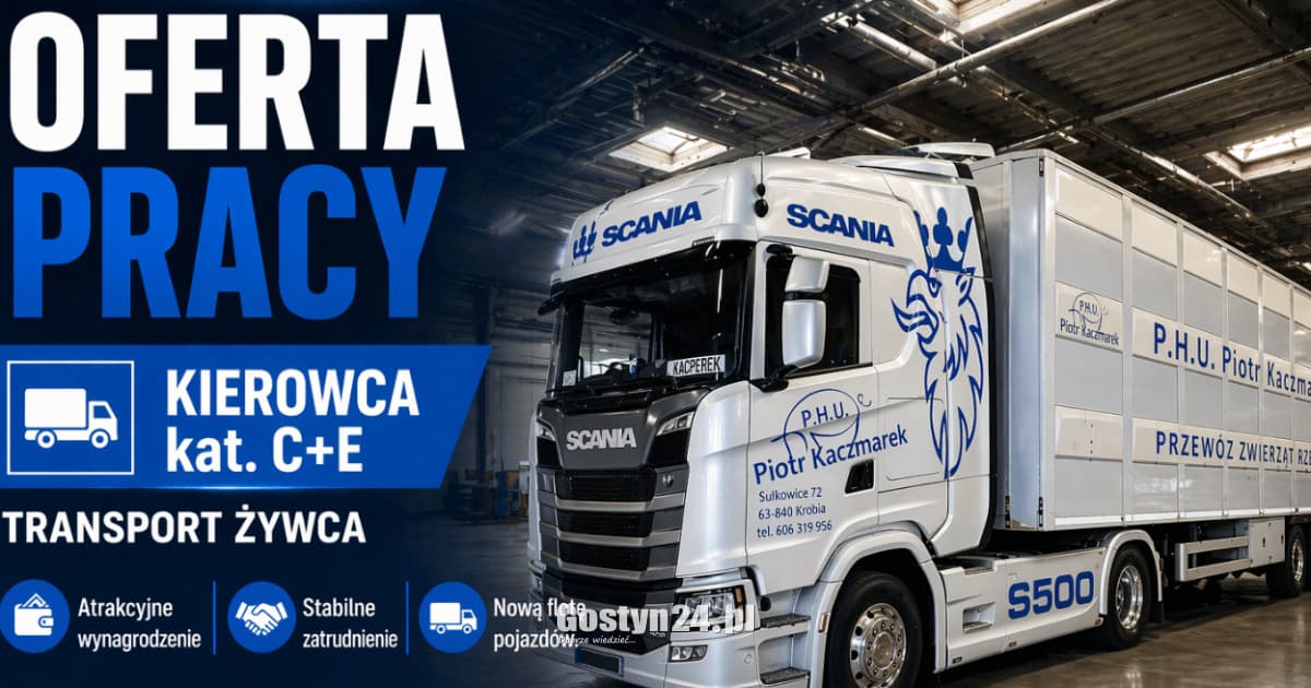 Kierowca C+E - transport żywca. Atrakcyjne wynagrodzeni