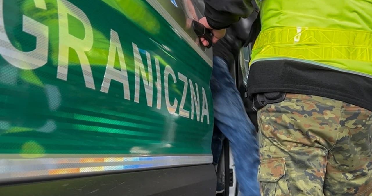 Łódzkie Mieli na koncie szereg przestępstw. Samolot z Gruzinami wystartował z ŁodziAlicja Krause
