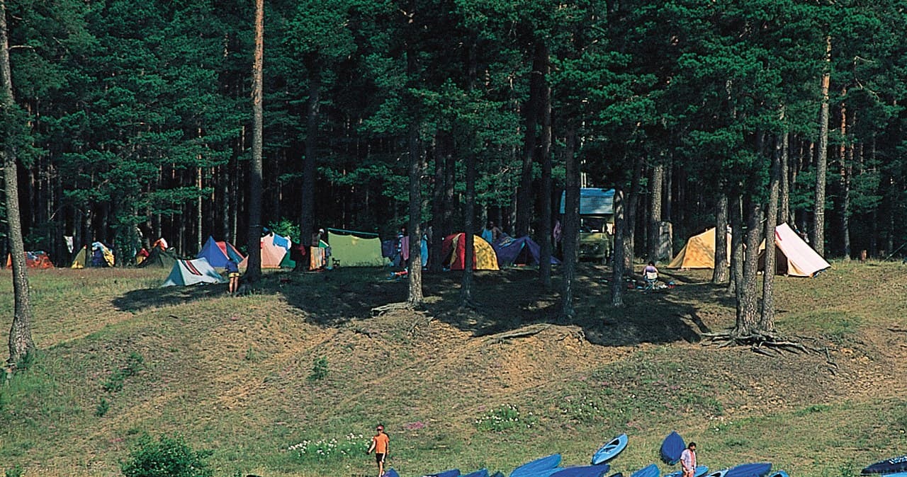 Kolonie już nie tylko dla dzieci. To hit wśród dorosłych. "Najlepszy wybór"