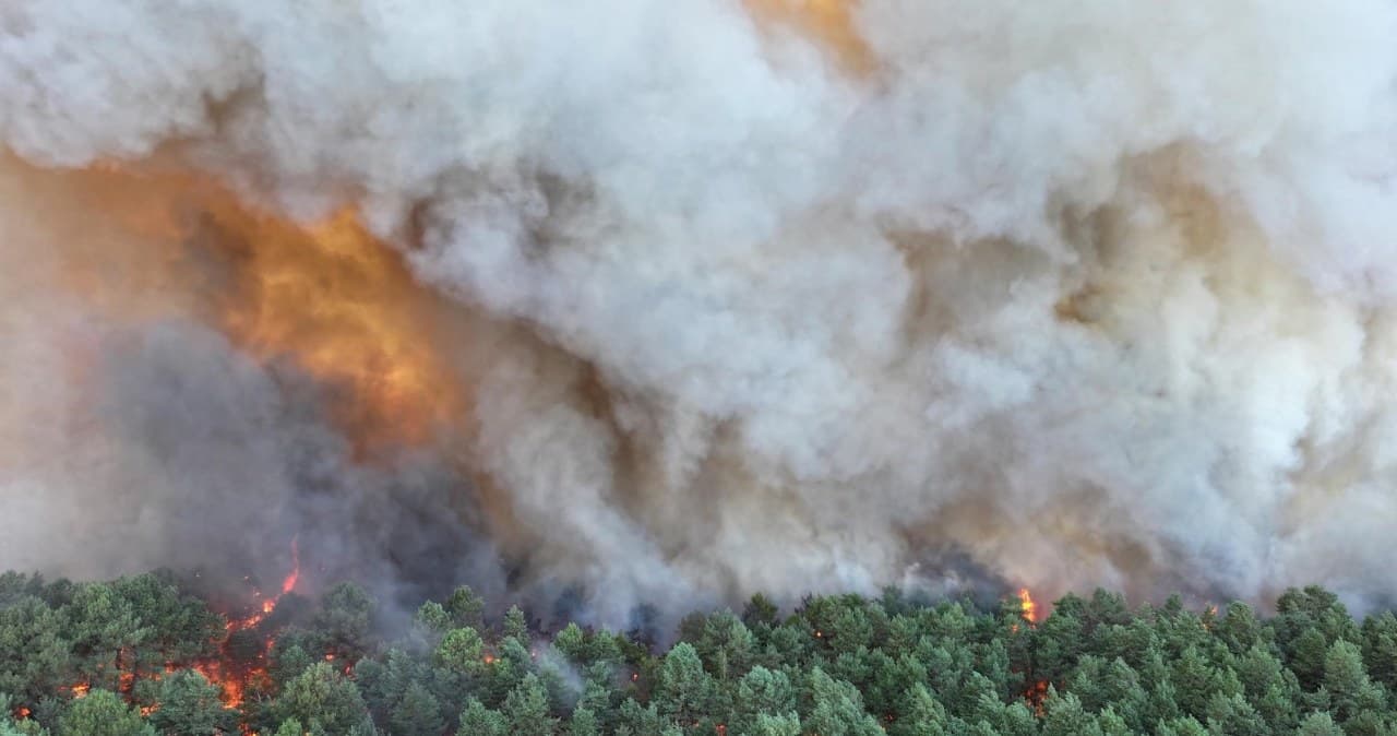 Płonie słynny las pod europejską stolicą. Ewakuowali setki domów