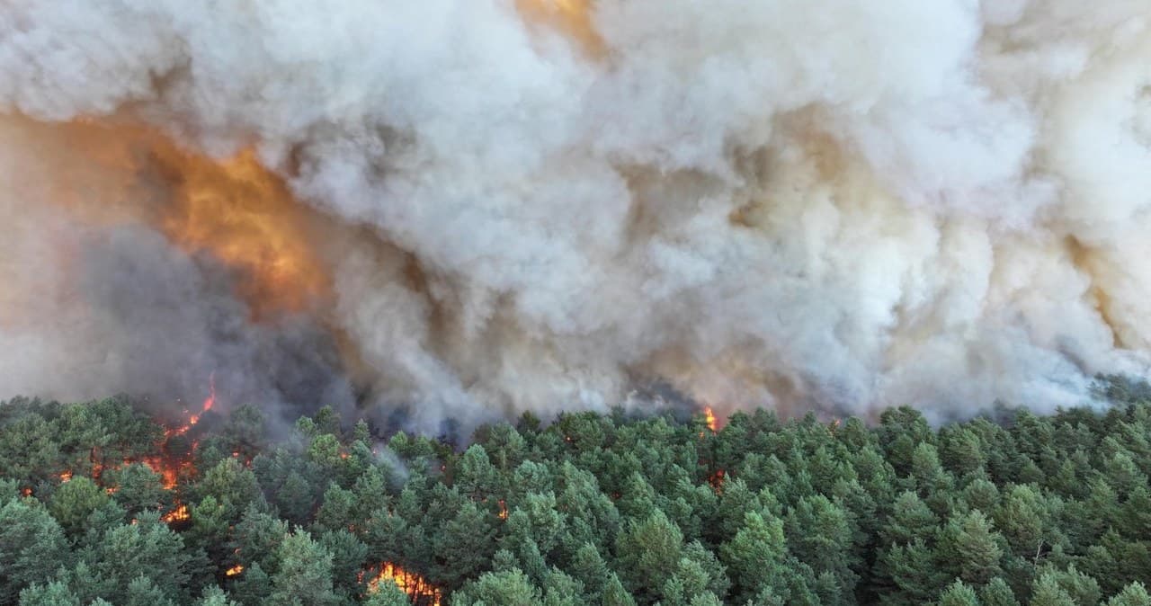 Ogień strawił tysiące hektarów Francji. Zatrzymano 59 osób