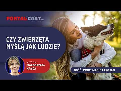 Twój pies Cię oszukuje? Psycholog potwierdza: zwierzęta mają własny świat | PORTALCAST