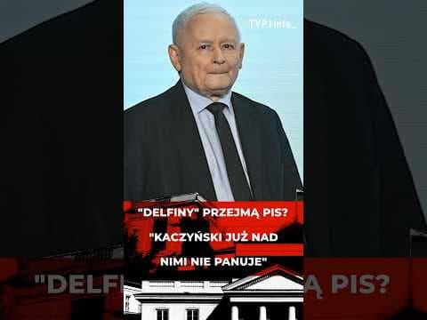 "Delfiny" przejmą PiS? "Kaczyński już nad nimi nie panuje" #polityka #polska #shorts