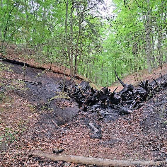 Skrajnie wysokie zagrożenie pożarowe (do 29.06.2026)