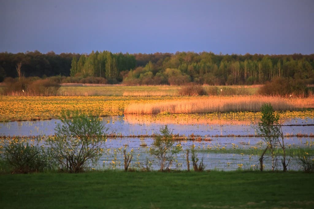 Biebrzański Park Narodowy