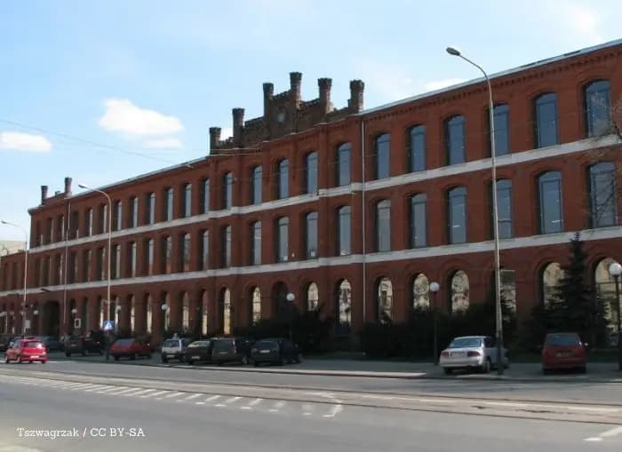 Ekologia zaczęła się od prostych wyborów. Projekt w Konstantynowie ma mocny bilans