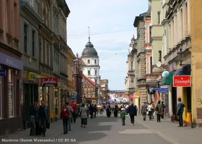 Poradnik bezpieczeństwa także w PJM. 21 filmów dla niesłyszących