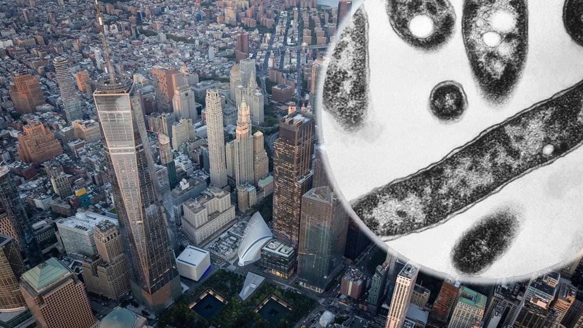 Groźna epidemia w sercu Nowego Jorku. Są ofiary śmiertelne