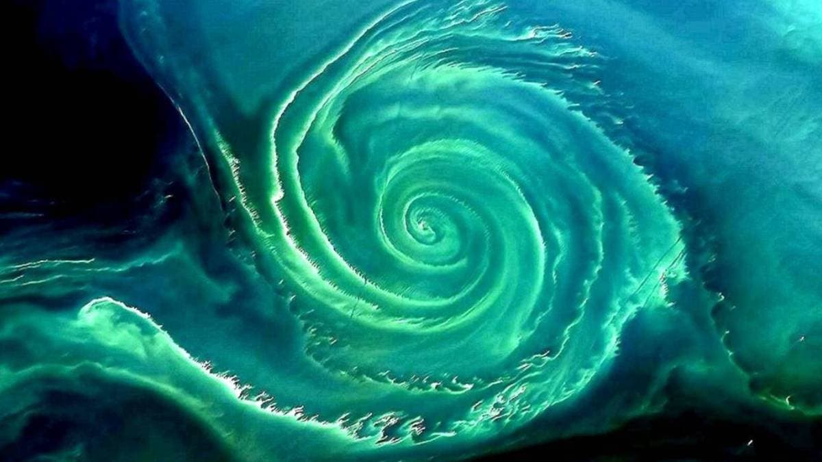 Zielony wir na Bałtyku. Satelity uchwyciły niepokojące zjawisko