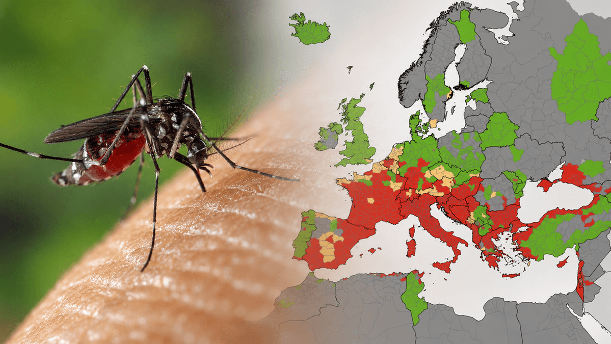 Niebezpieczne wirusy w europejskich kurortach. Turyści muszą uważać