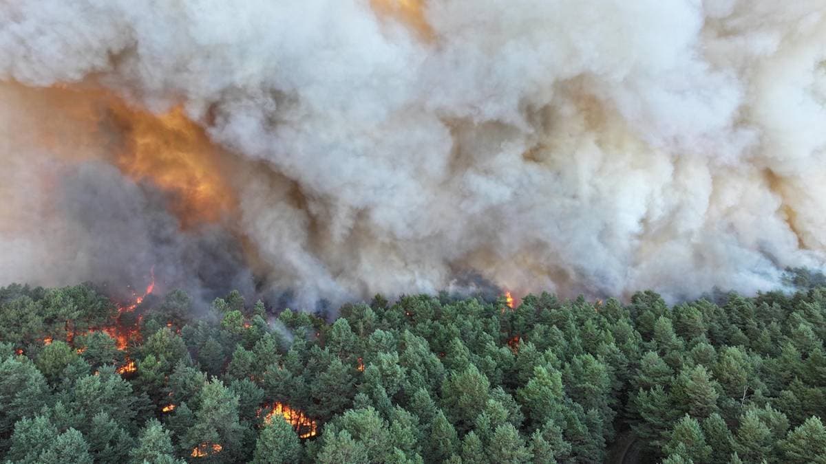 Wielki pożar pod Paryżem. Zatrzymano podejewanych o podpalenie