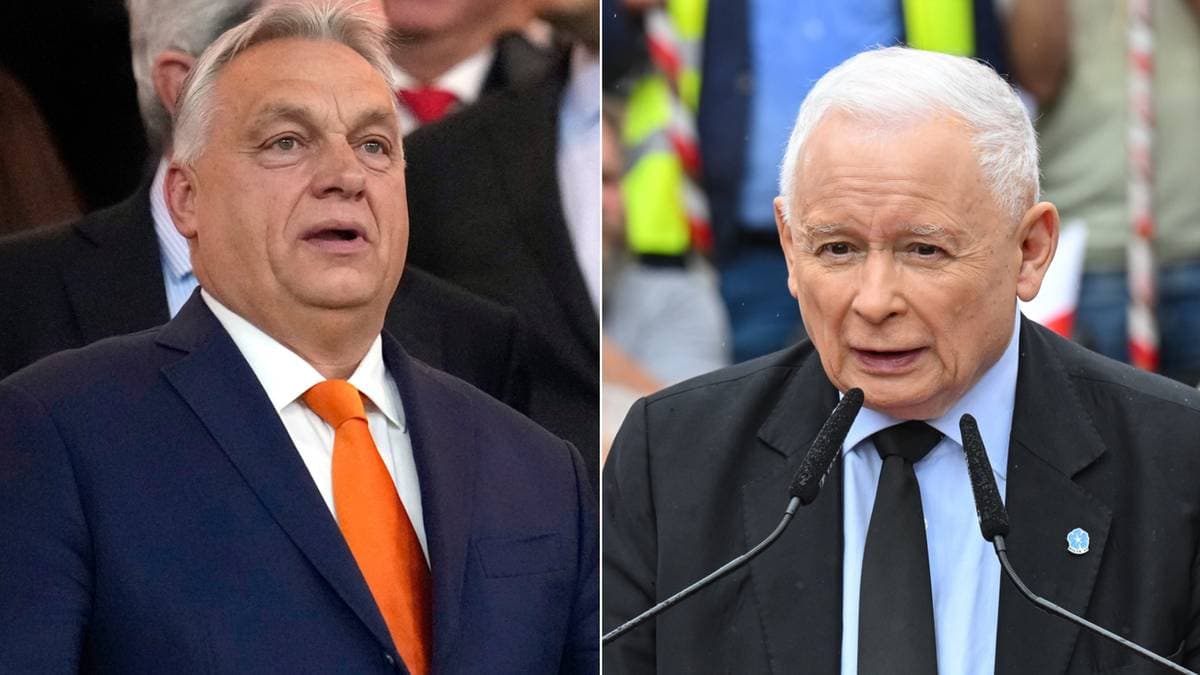 Spotkanie Orban-Kaczyński? Rzecznik PiS zabrał głos